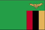 flag of Zambia