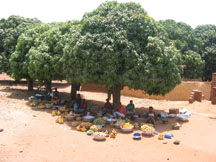 Ghana mango market