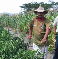 Farmer in Francisco Morazan, Honduras
