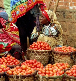 market, Madagascar 