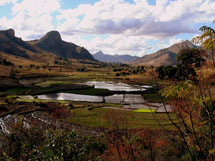 Madagascar 