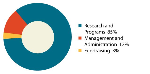 expenditure pie chart 85% research and programs 12% management and administration 3% fundraising