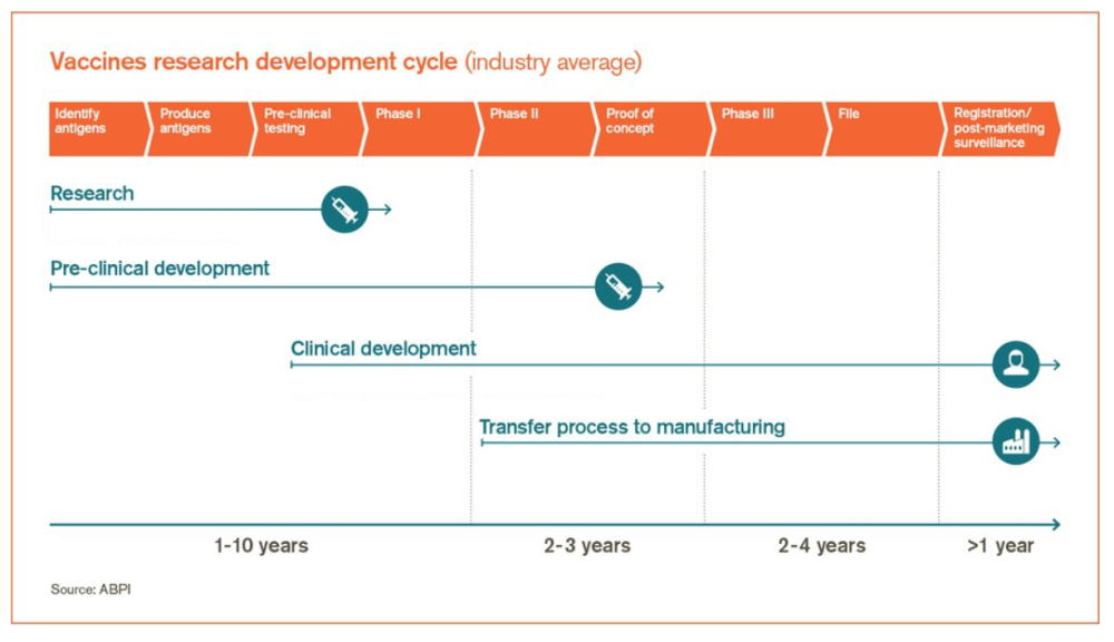 A chart showing the vaccines research development cycle
