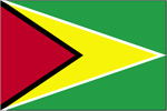 flag of Guyana