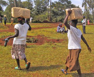 Women carrying seeds to Maridi, one of the villages within Sauri. Photo credit: Pedro Sanchez