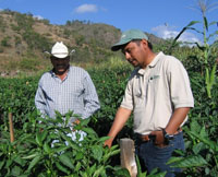 TA from Fintrac, Honduras