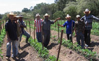 Irrigation, Honduras