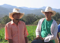 Farmers in Francisco Morazan, Honduras