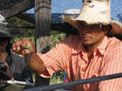 Farmer with a seedling, Honduras