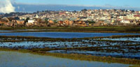 Madagascar 