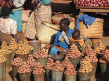 Malawi Market