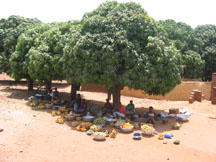 Mango market