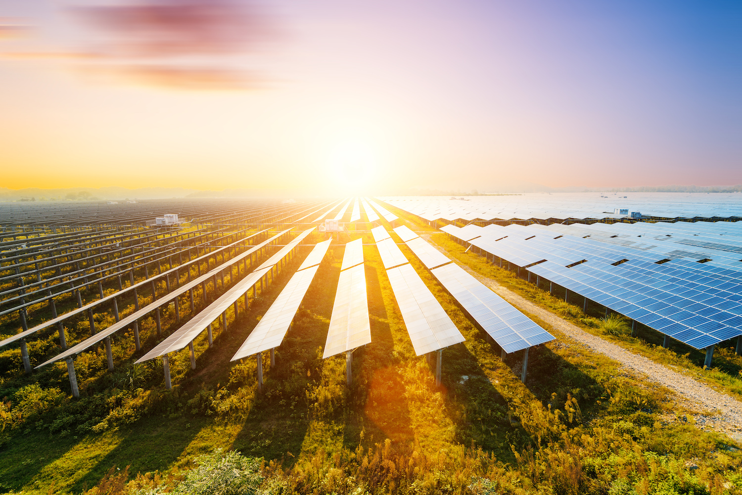 A field of solar panels at sunset