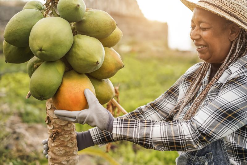 An image of a female farmer in Africa. 