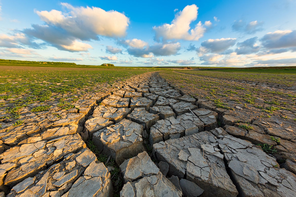 Dry, cracked land