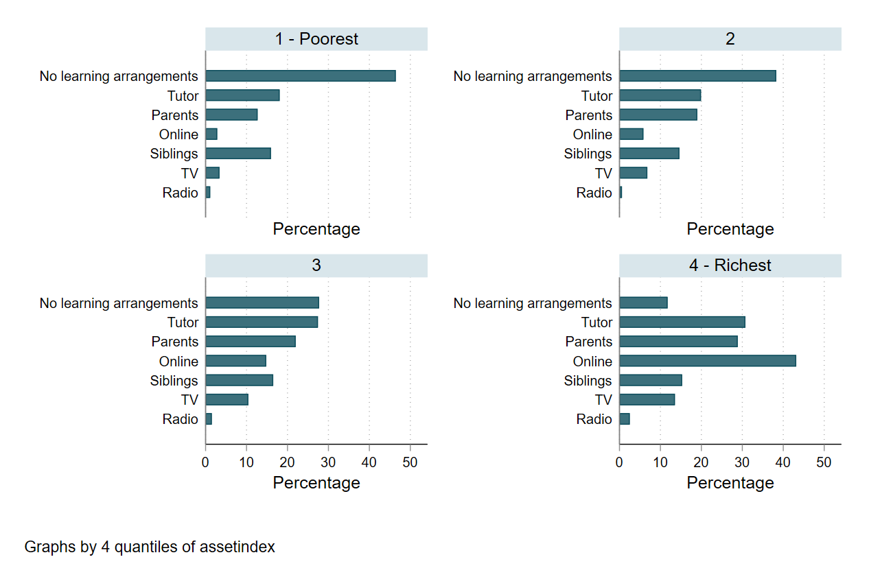 Figure 4: What did parents do to replace schooling? By asset index