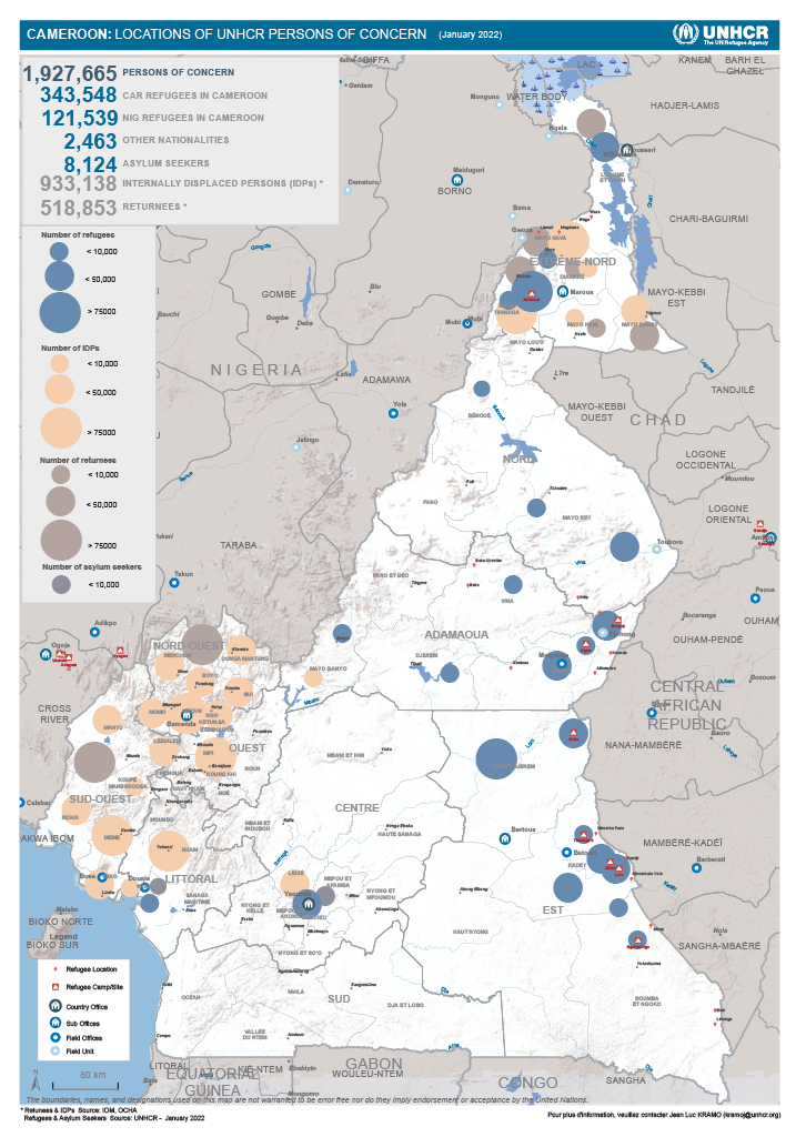 Responding to multiple crises: Figure 1. A map of Cameroon