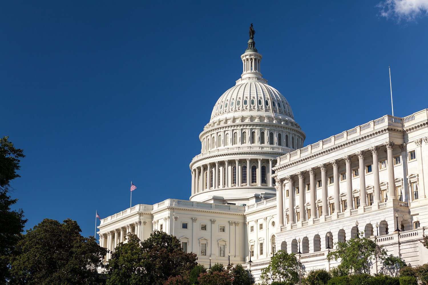 Photo of the Washington D.C Capitol Building