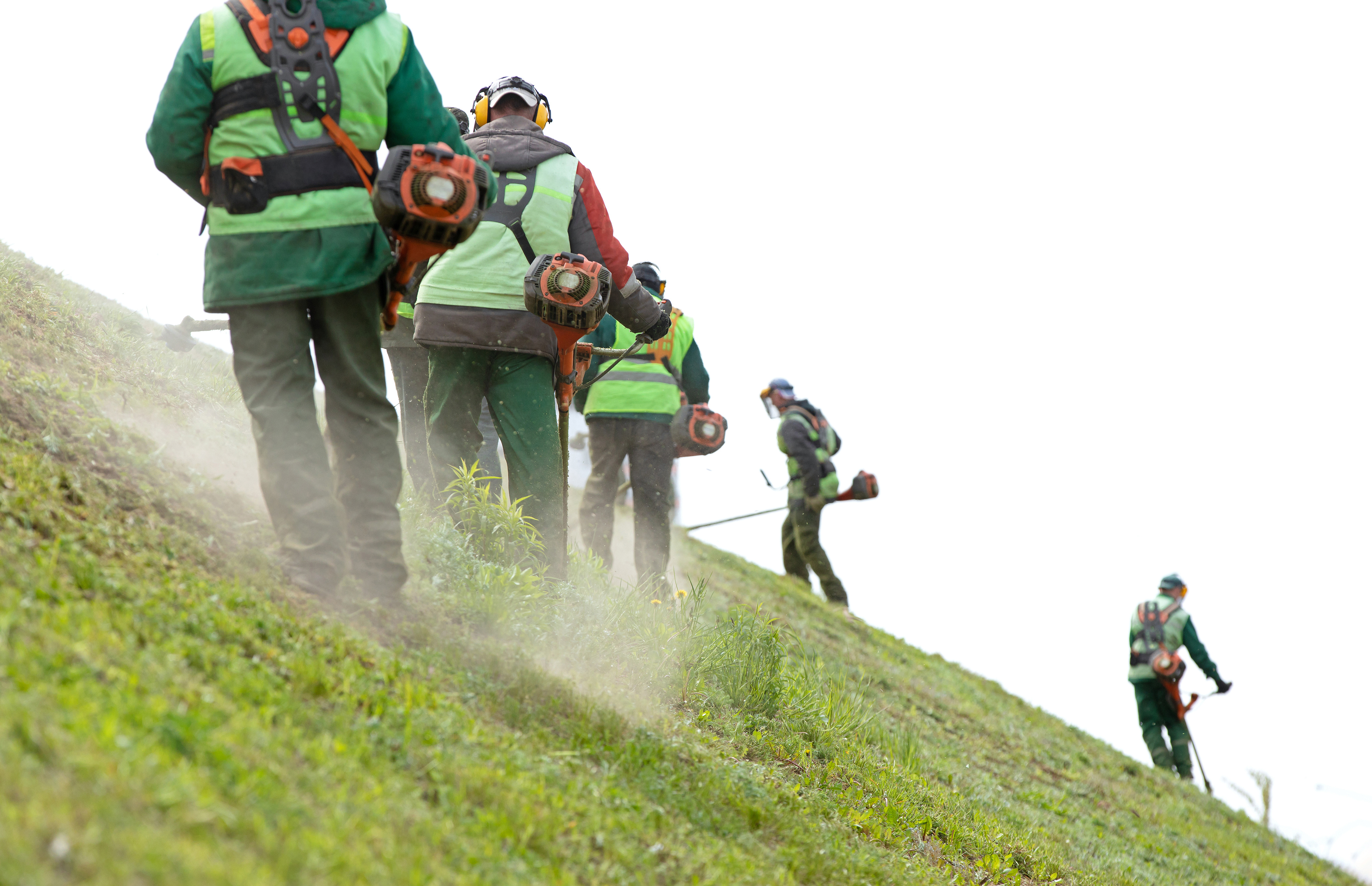 landscape workers