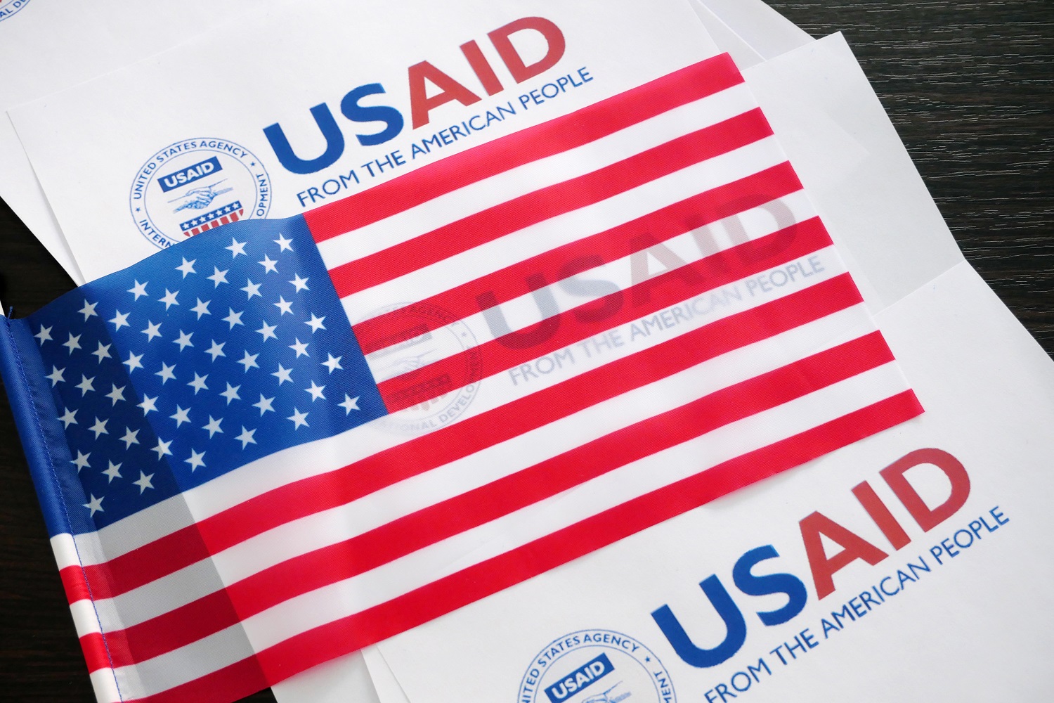 Image of USAID banner