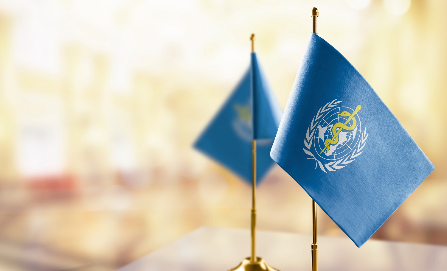 Small world health organization flags