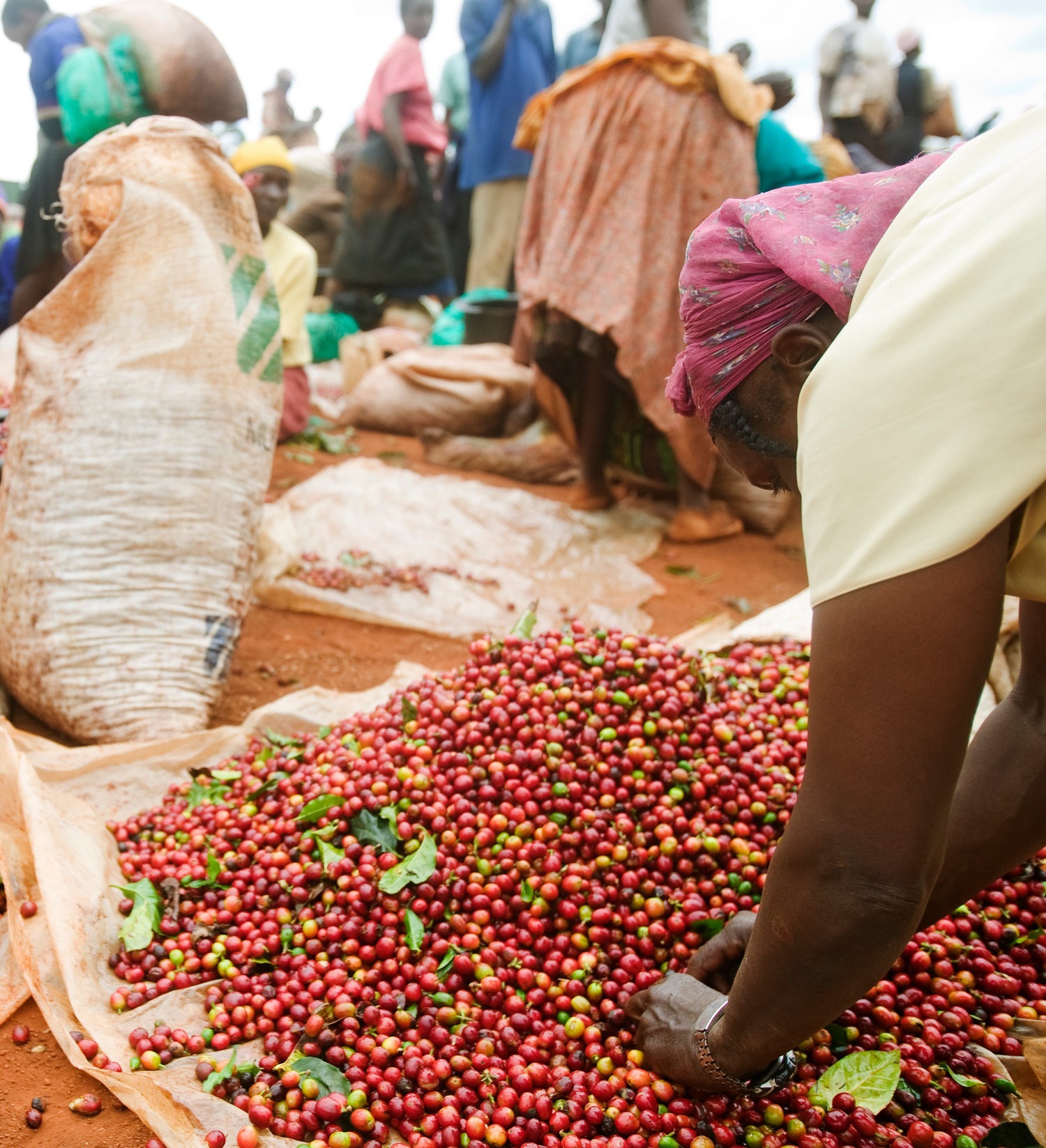 Kenyan woman working