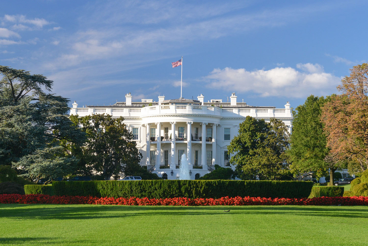 The White House - Washington D.C. 