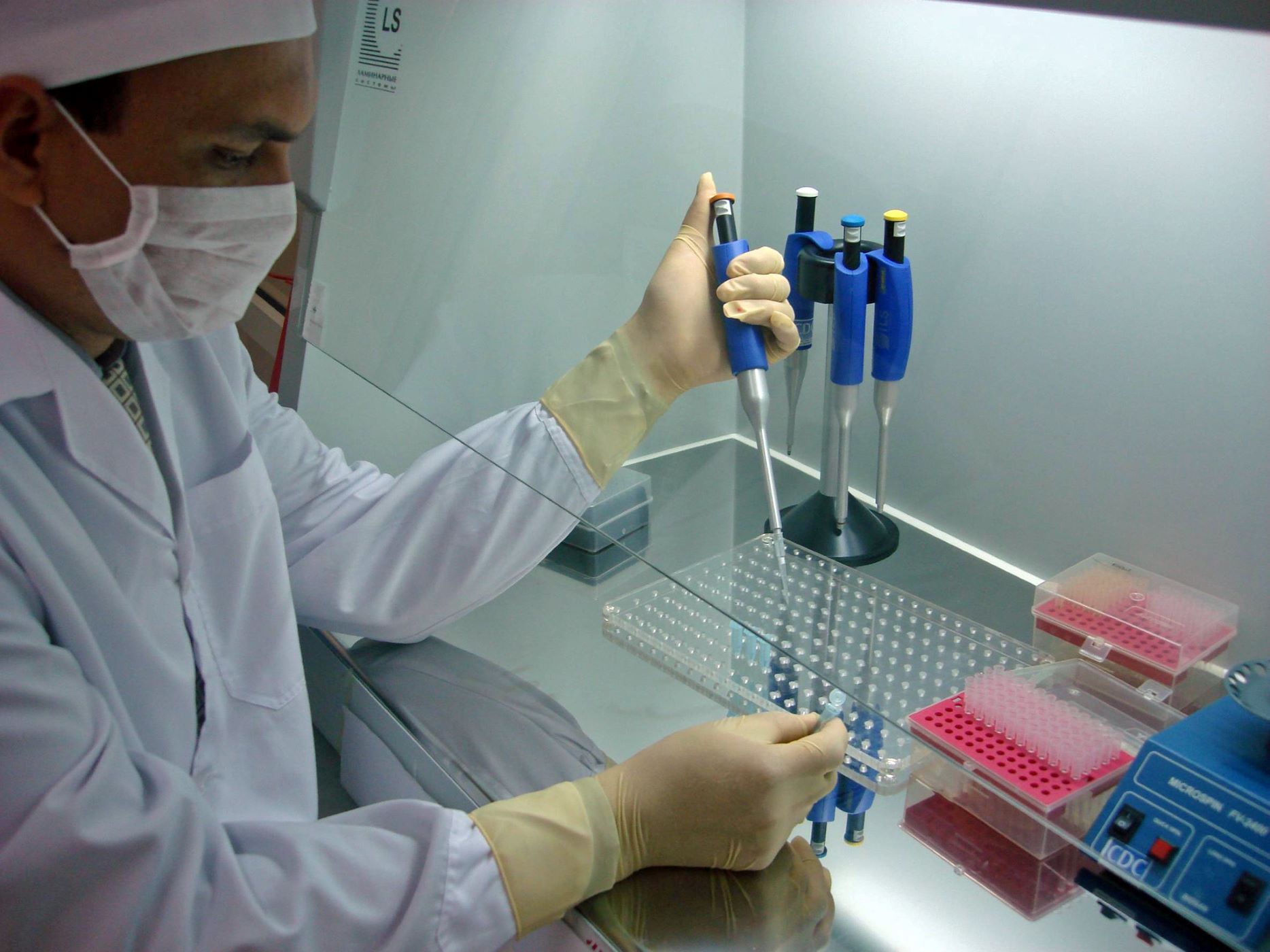 lab working testing for avian flu