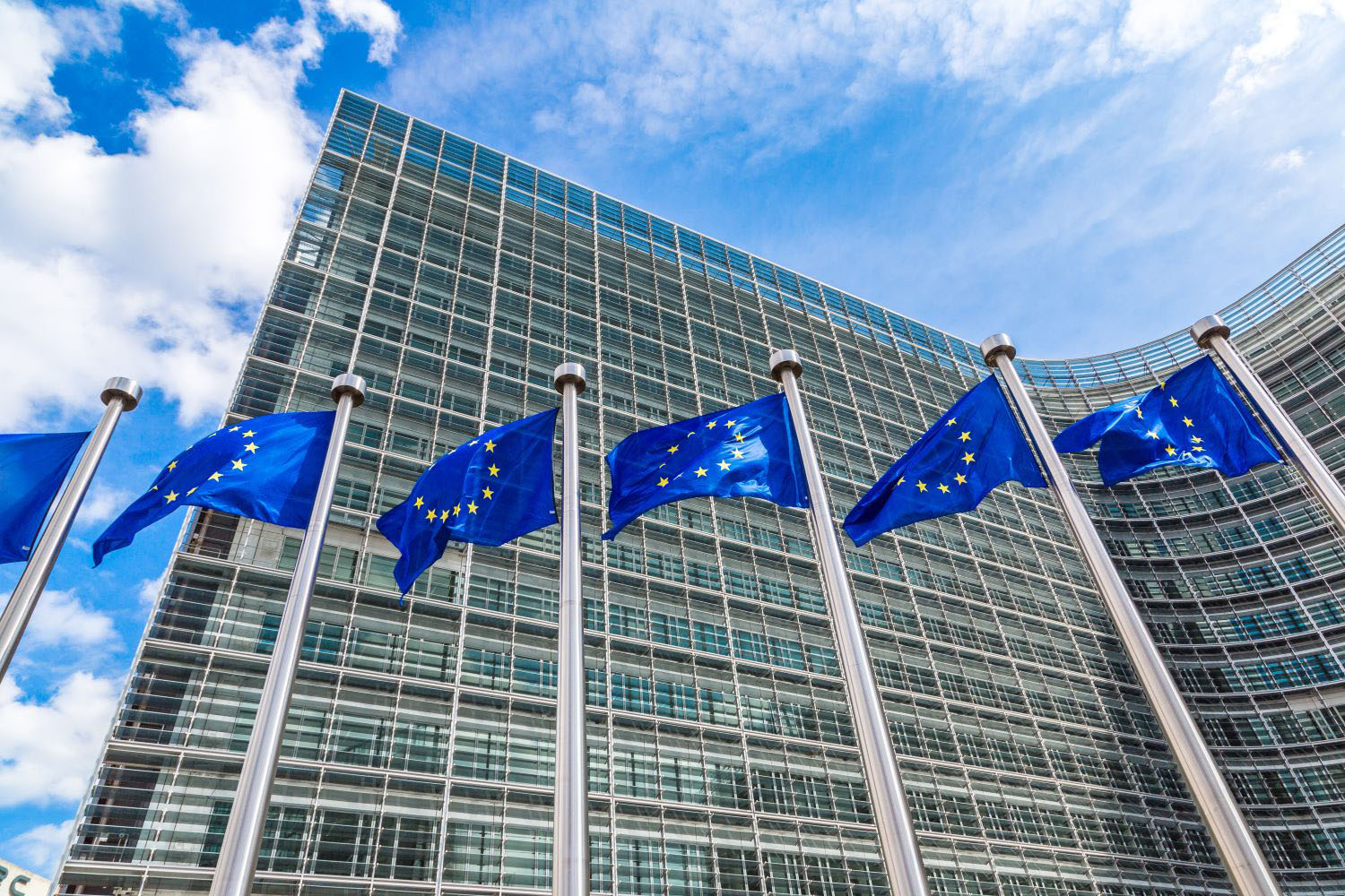 European flags in Brussels