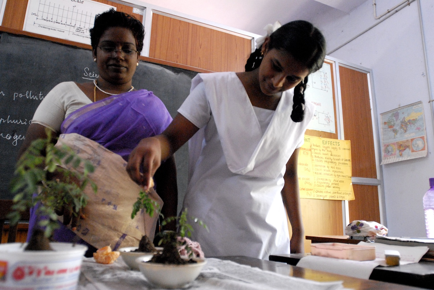 Student and her teacher experimenting the effects of acid rain on plants.