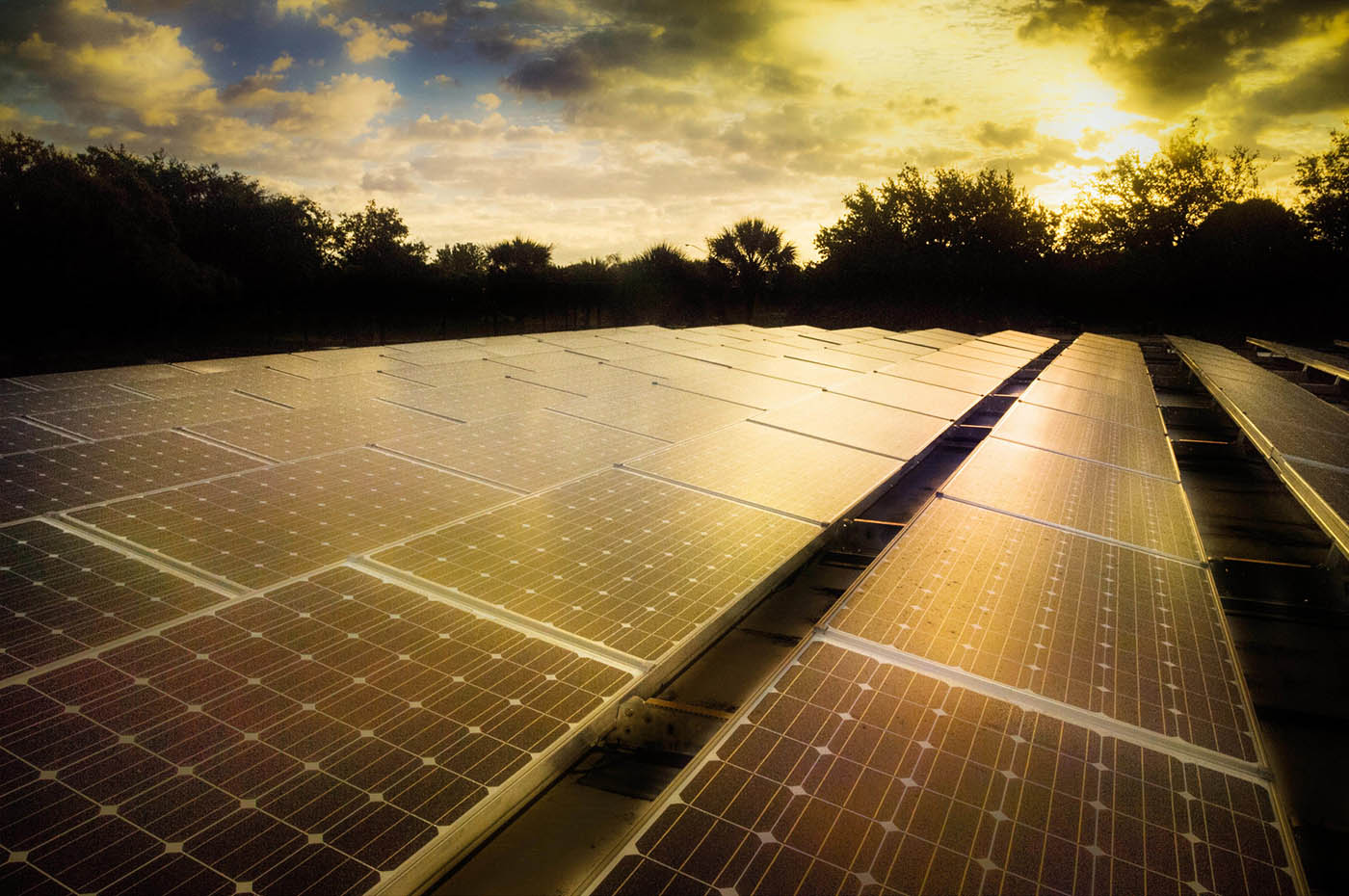 Solar panel array