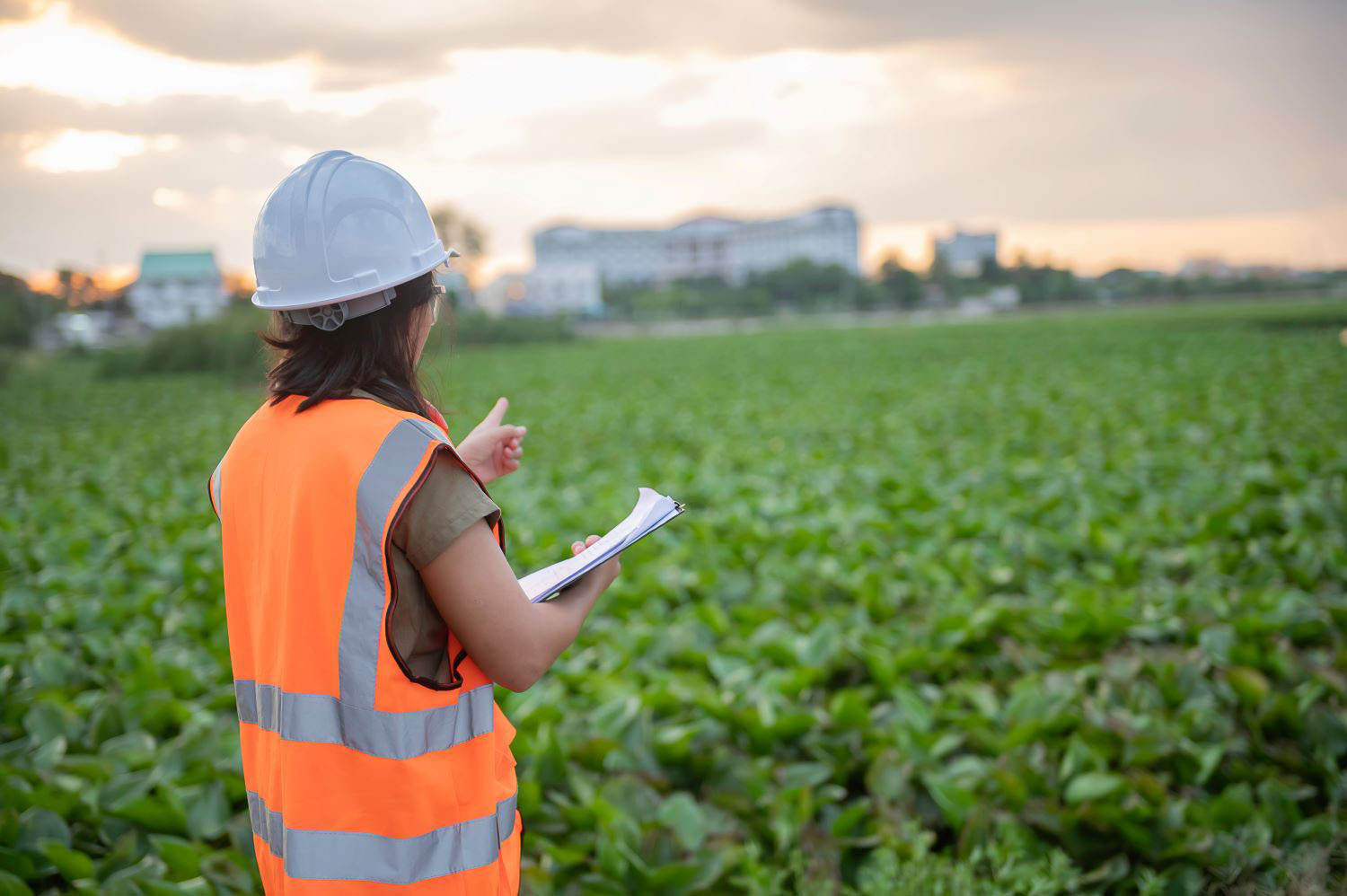 Woman environmental engineer looking out into plant field