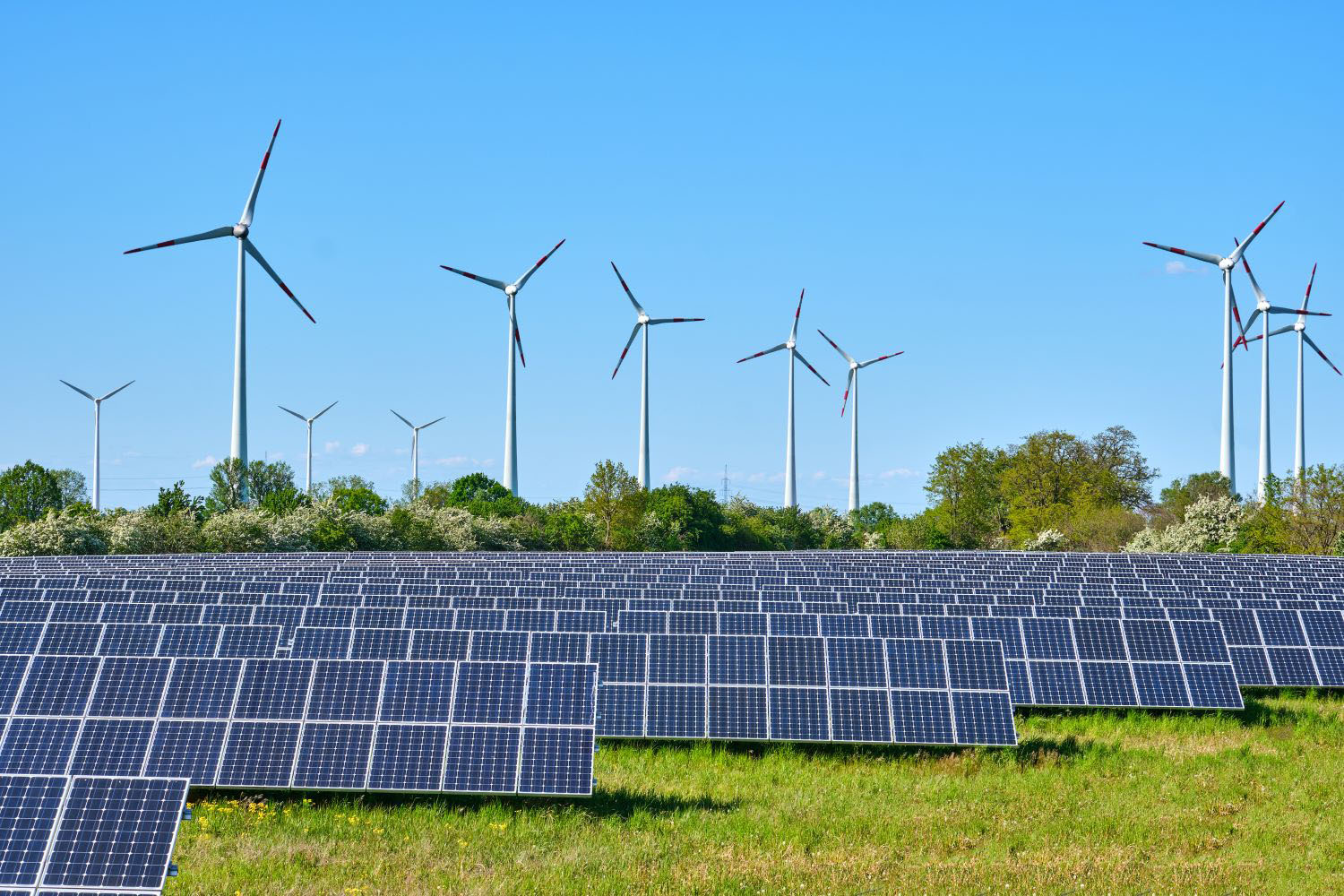 Renewable energy power plant.