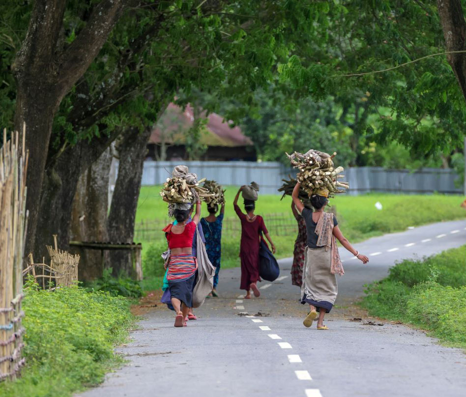 Group of women carrying wood on their heads in Chittagong, Bangladesh.