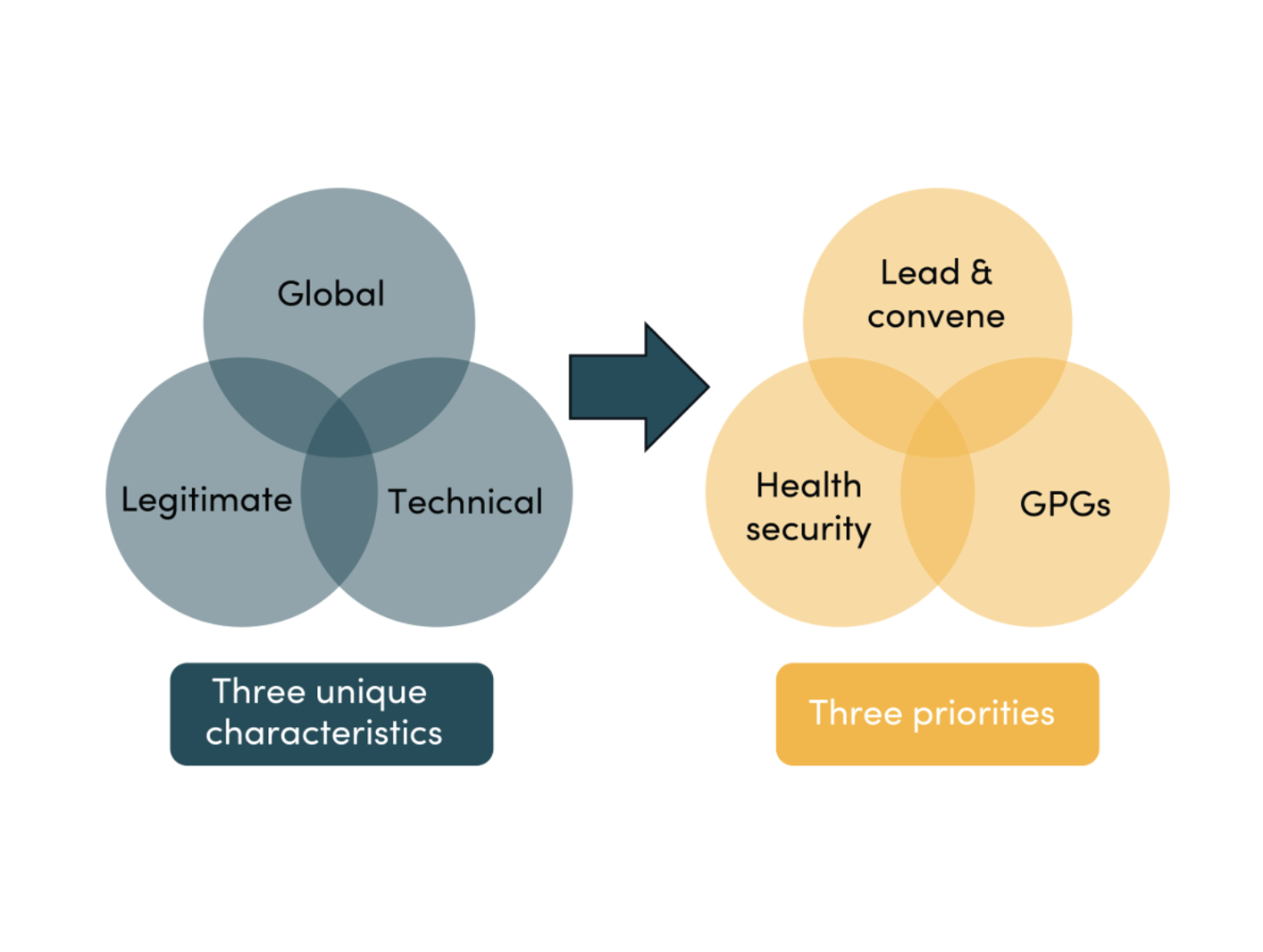 A Lean World Health Organization for the Global Good