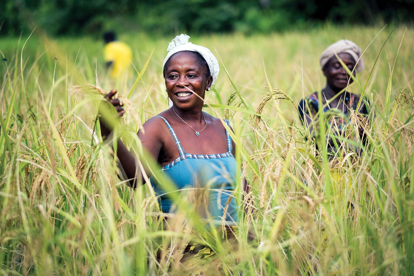 Woman working in field in Sierra Leone