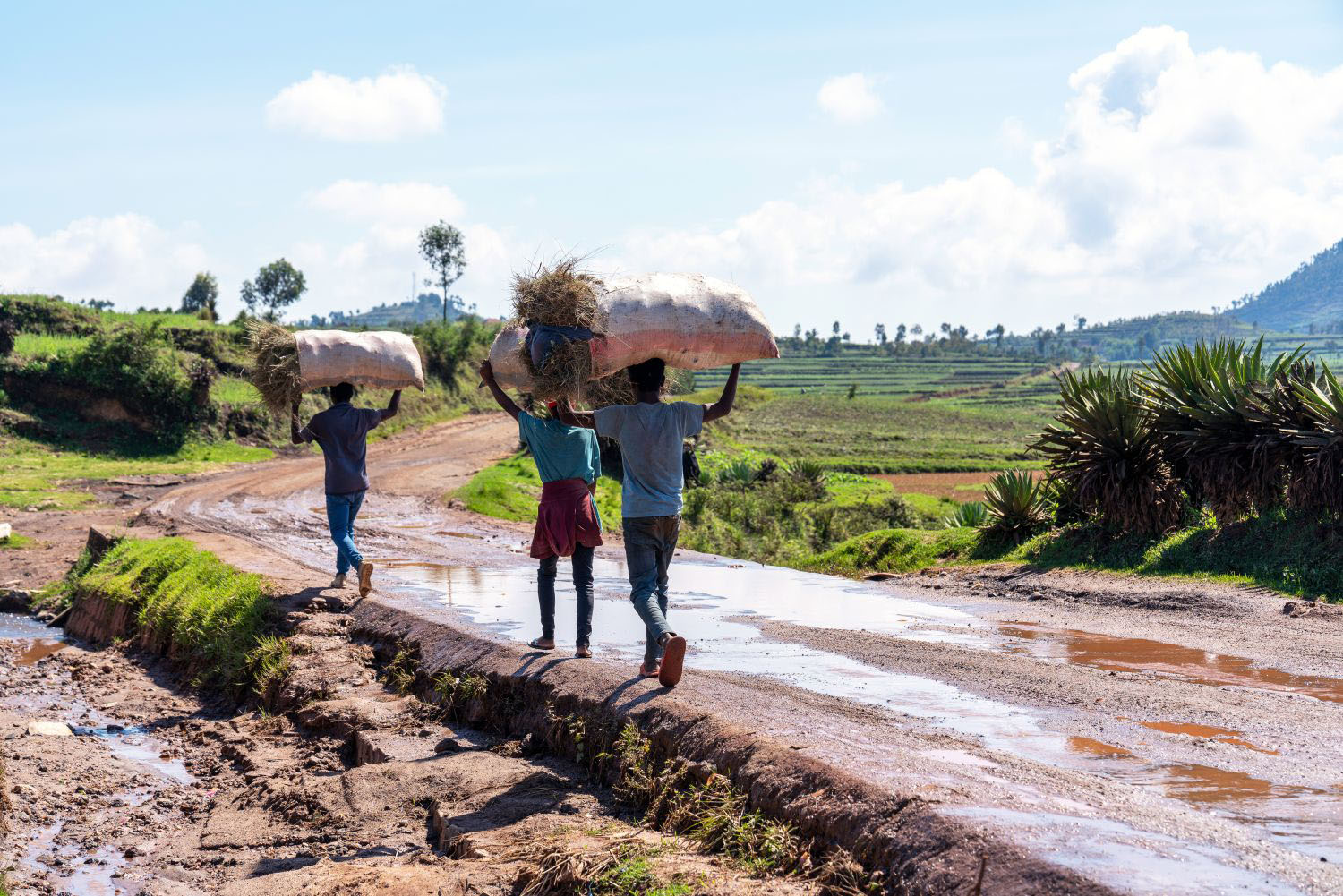 Aid Cuts Are Not Leading to Reforms in Sub-Saharan Africa | Center For  Global Development