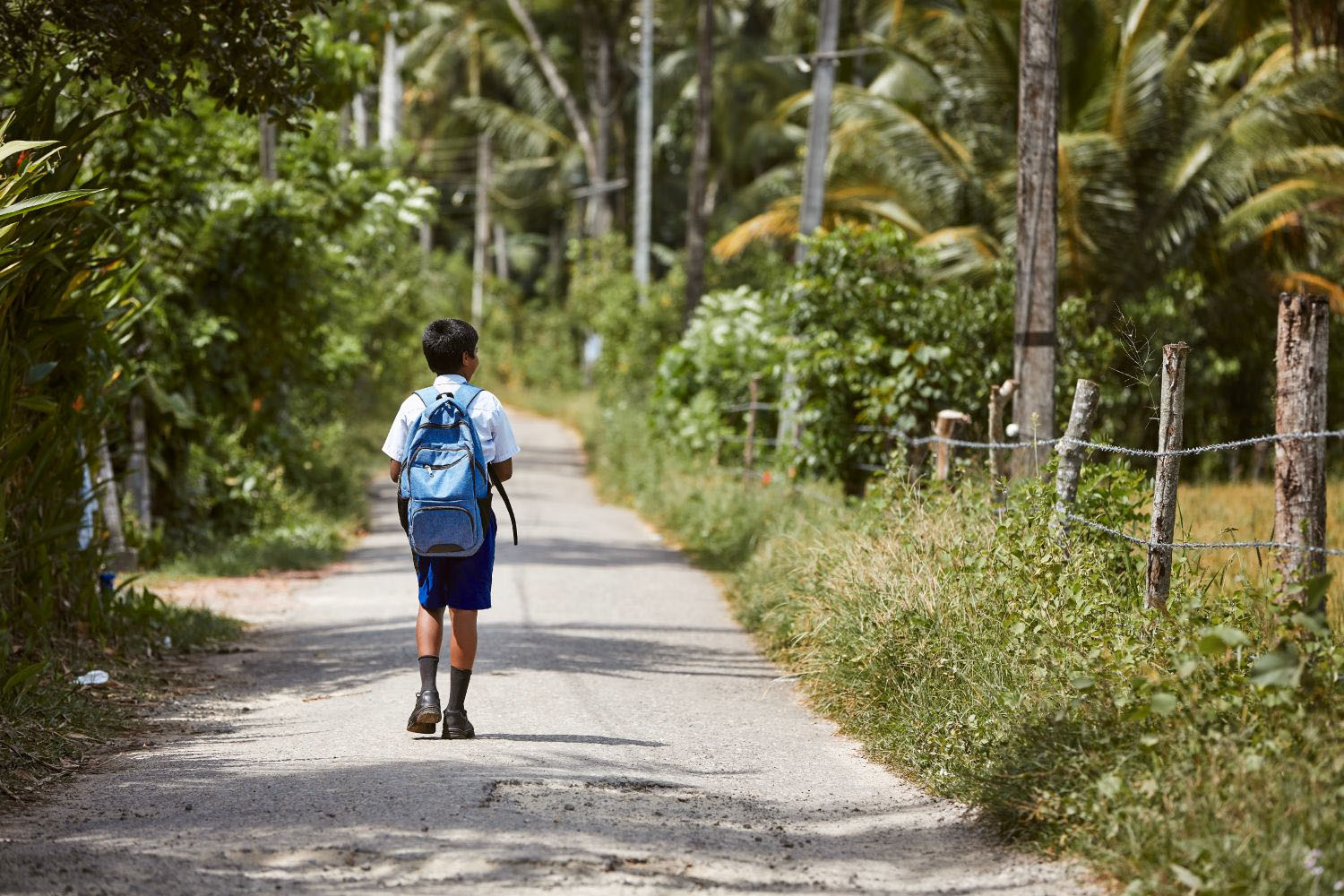 Schoolboy in uniform walking to school. Rear view boy with backpack on rural road in Sri Lanka