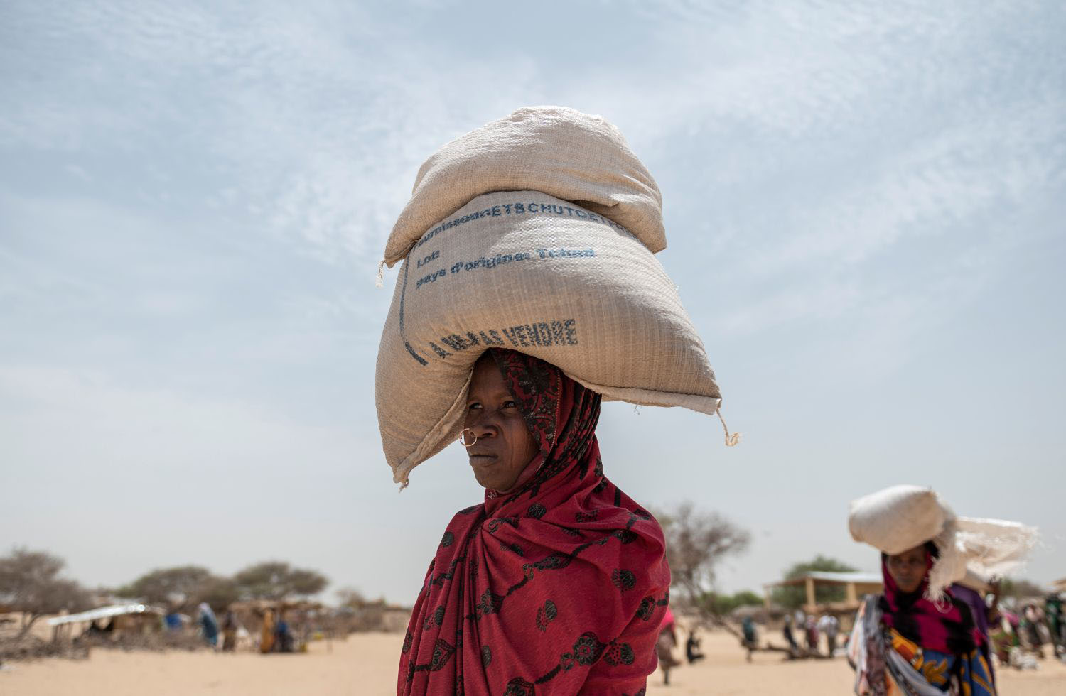 Food and nutrition aid delivery in Africa