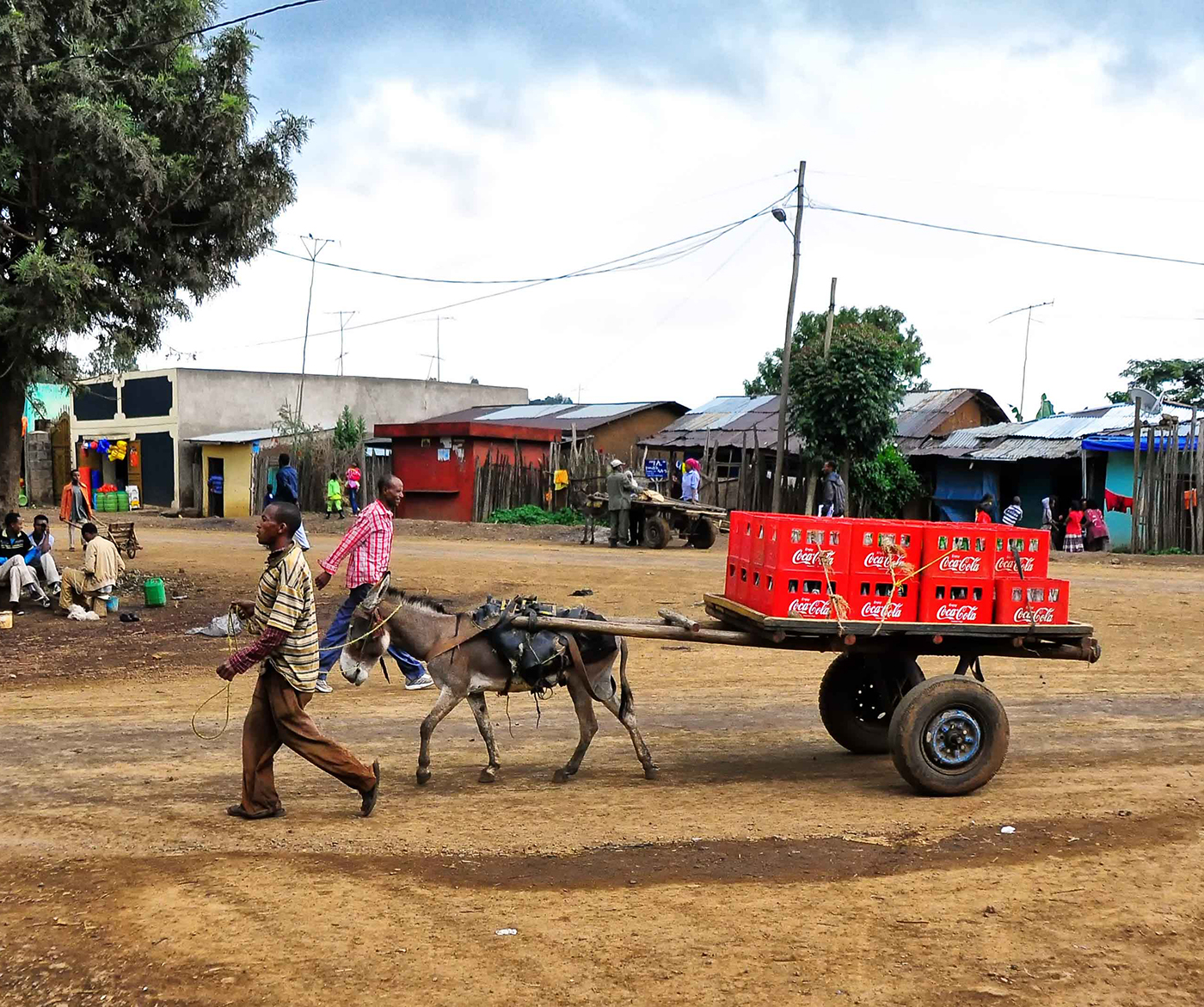 A man delivers bottles of Coca Cola by donkey cart in Arba Minch, Ethiopia