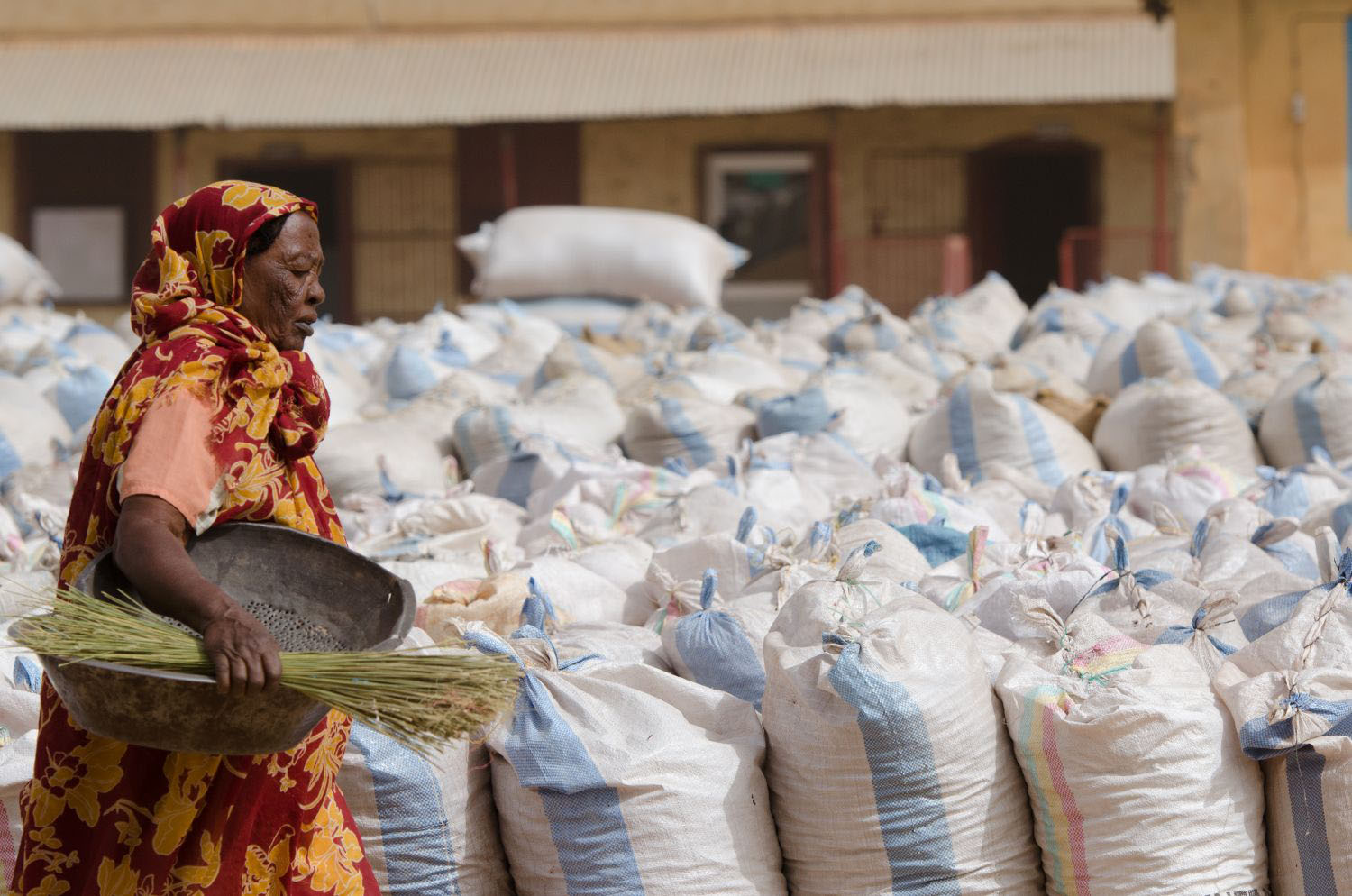 Scenes from Al Obaied Crop Market, North Kordofan Workers sort, repack and ship Gum Arabic lots