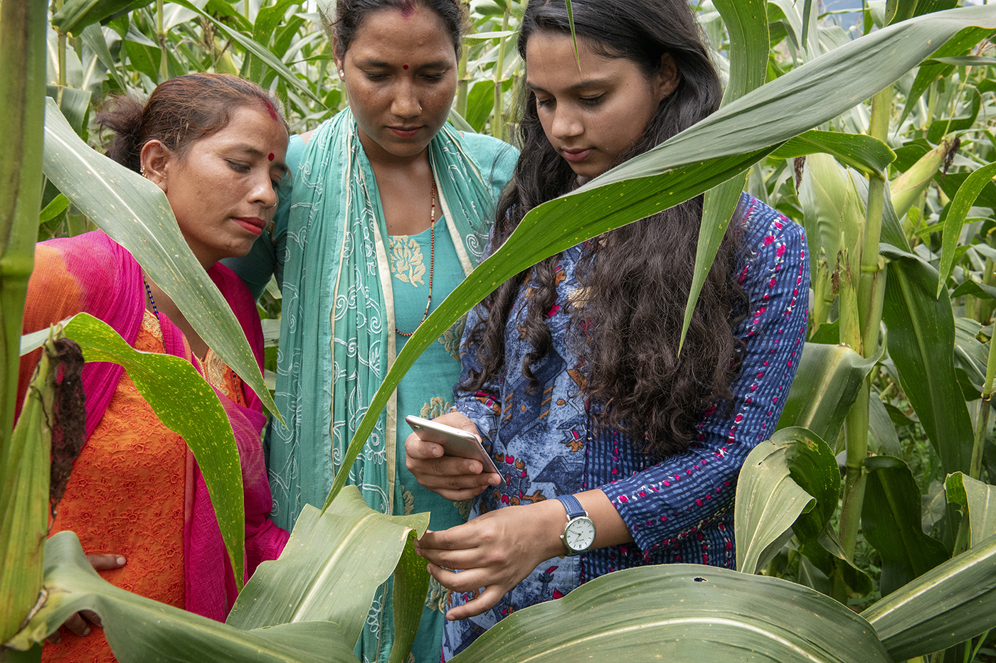 Demonstrating the use of a mobile phone app in a field, Nepal