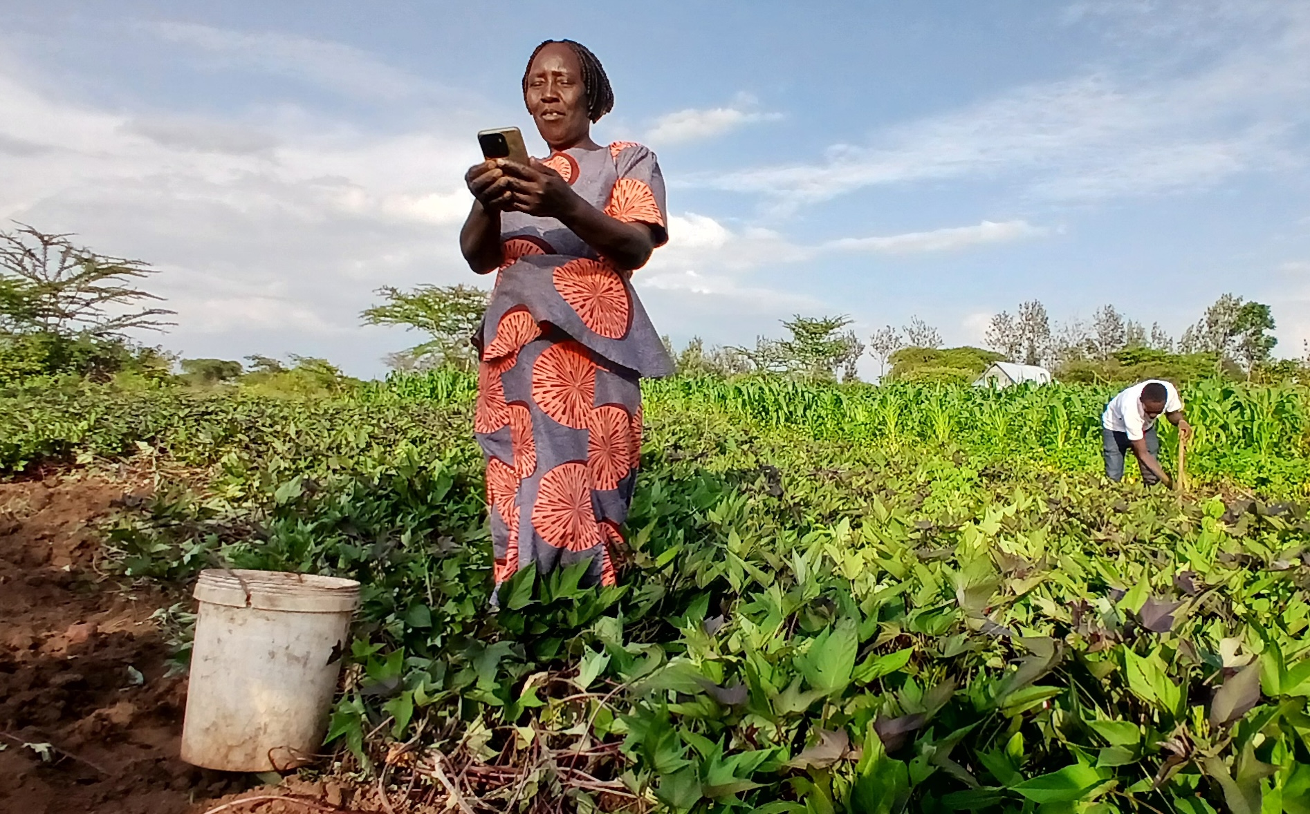 A woman farmer in Kenya looks at her phone