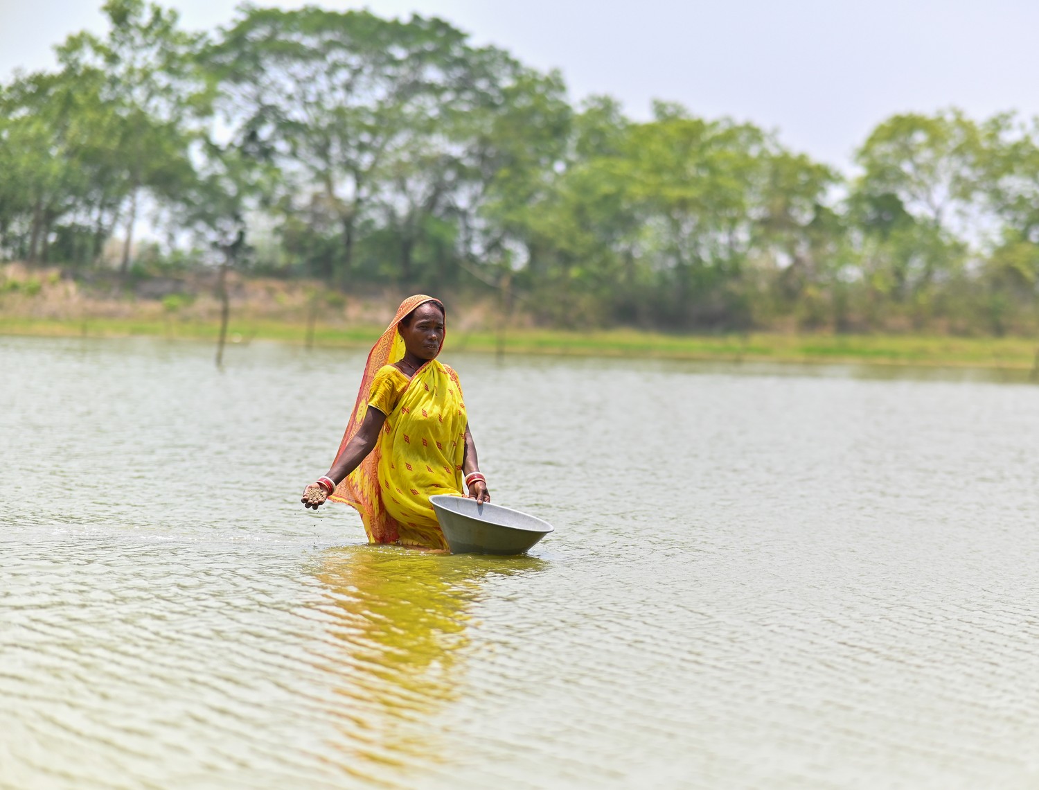 Woman in pond in Odisha, India