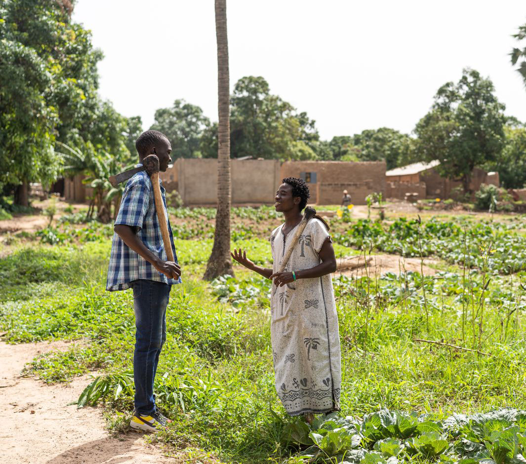 Two people standing on the edge of a field talking to each other