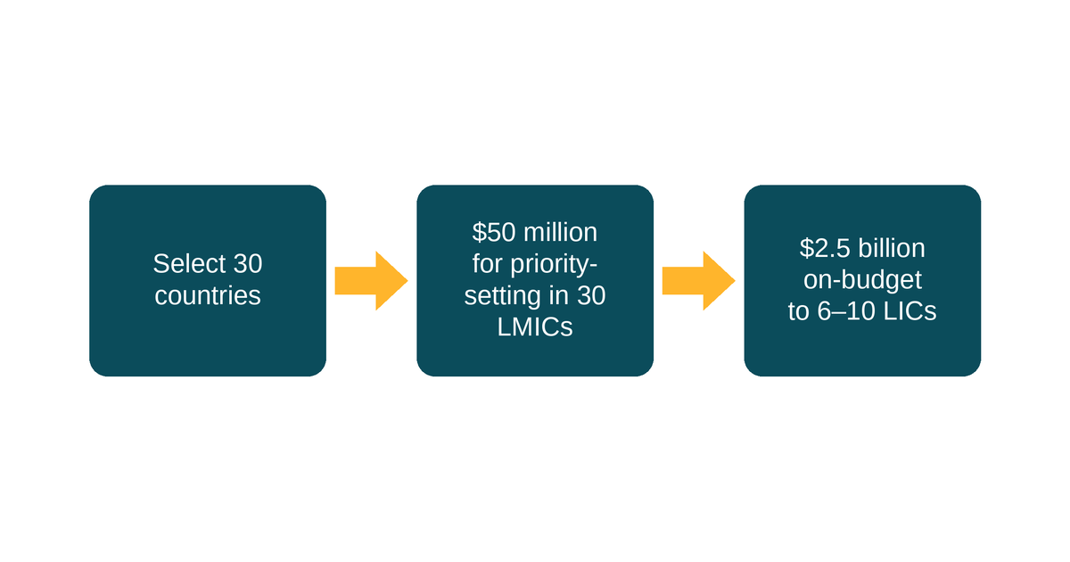 New AI Philanthropy Should Fund Country Health Partnerships, Not Just Interventions