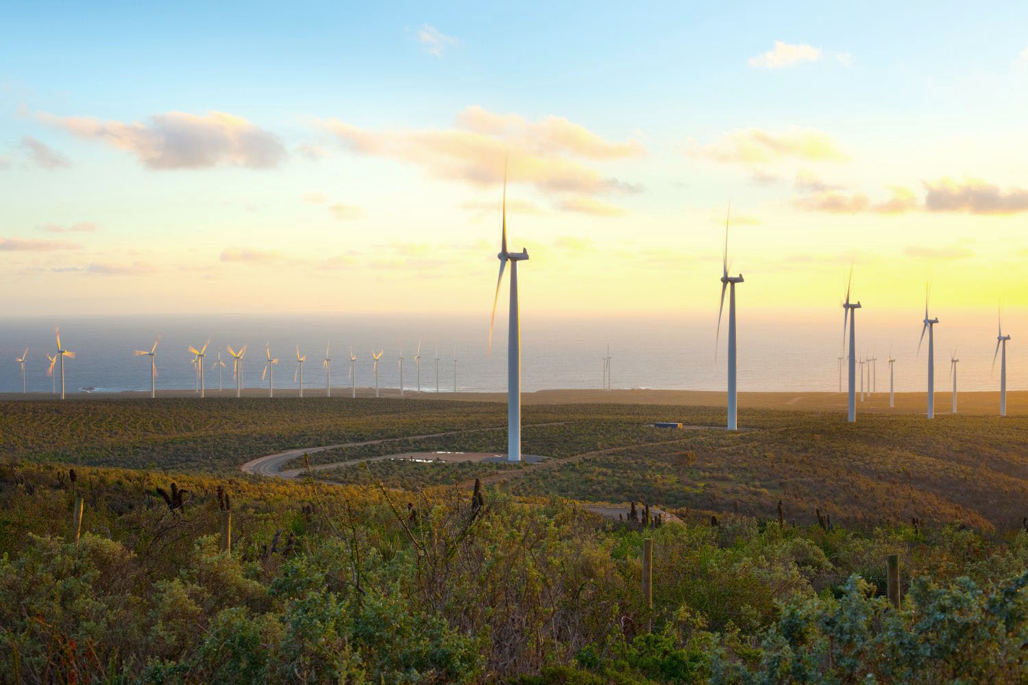 Windmills at wind farm, Coquimbo Region, Chile