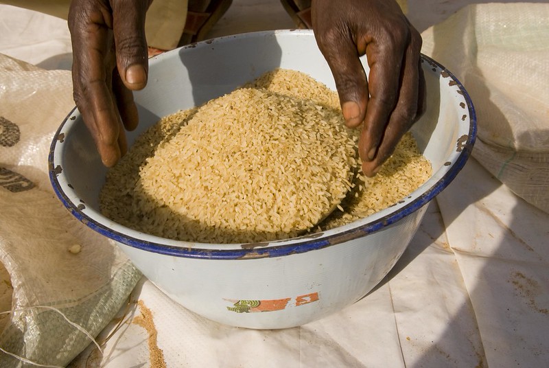 bowl of grain