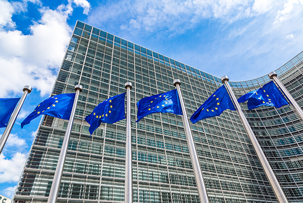 European flags in Brussels