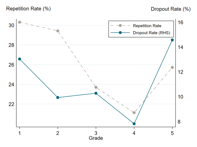 Chart showing that repetition and drop out rates vary a lot by grade